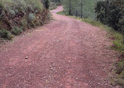 Ruta senderista Fuentes de Ayódar-Pozo Negro y vuelta.